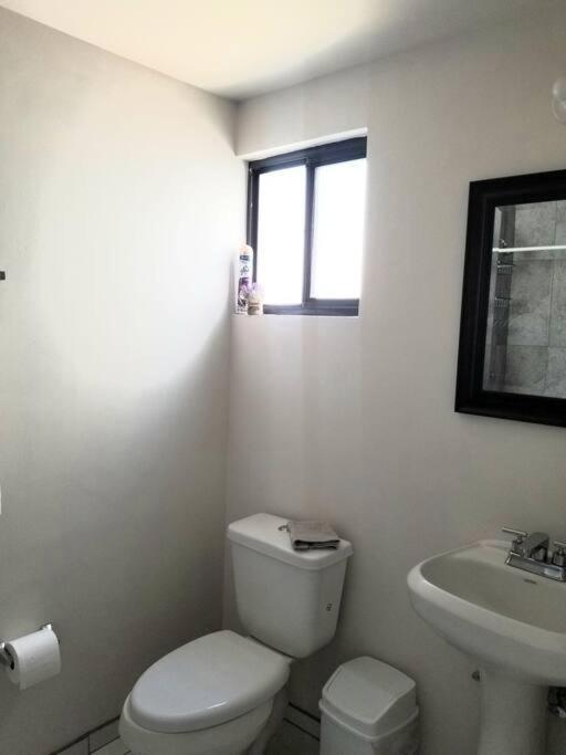 Moderna Habitacion/Bano Privada Lägenhet Juárez Exteriör bild
